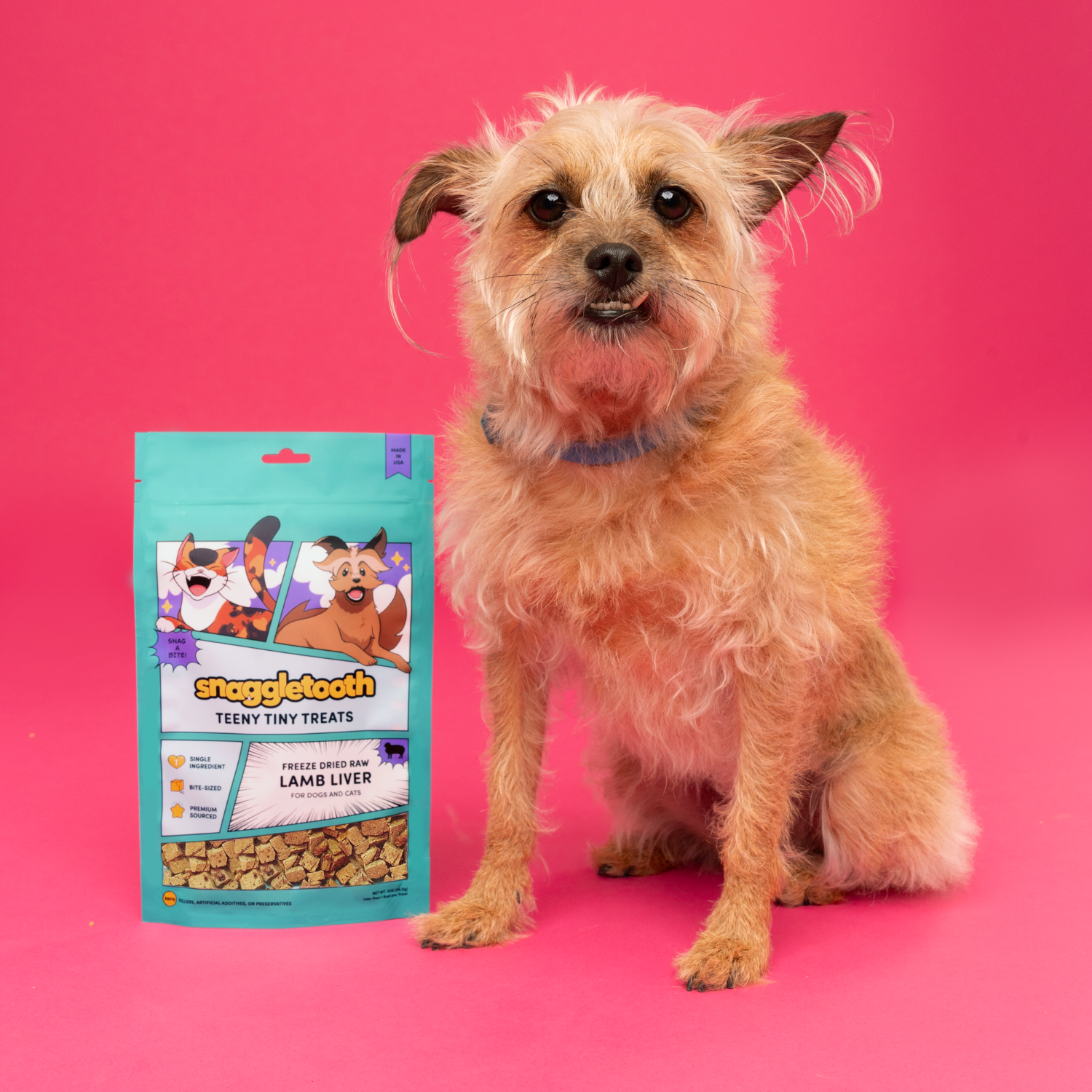 Snaggletooth Pets - Wholesale Pet Treats - Dog - Lamb Liver - Freeze Dried Raw Teeny Tiny Treats8
