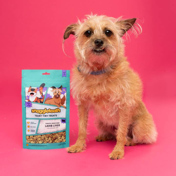 Snaggletooth Pets - Wholesale Pet Treats - Dog - Lamb Liver - Freeze Dried Raw Teeny Tiny Treats8