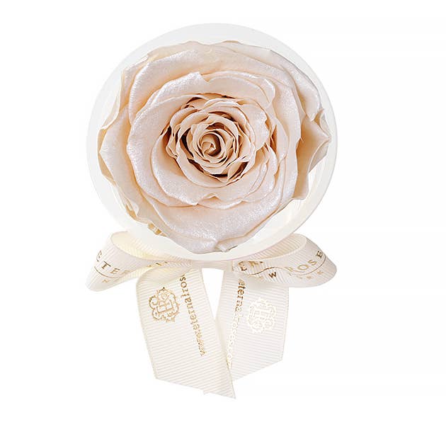 Eternal Roses® - Wholesale Party Favor - Eternal Rose Party Favors38