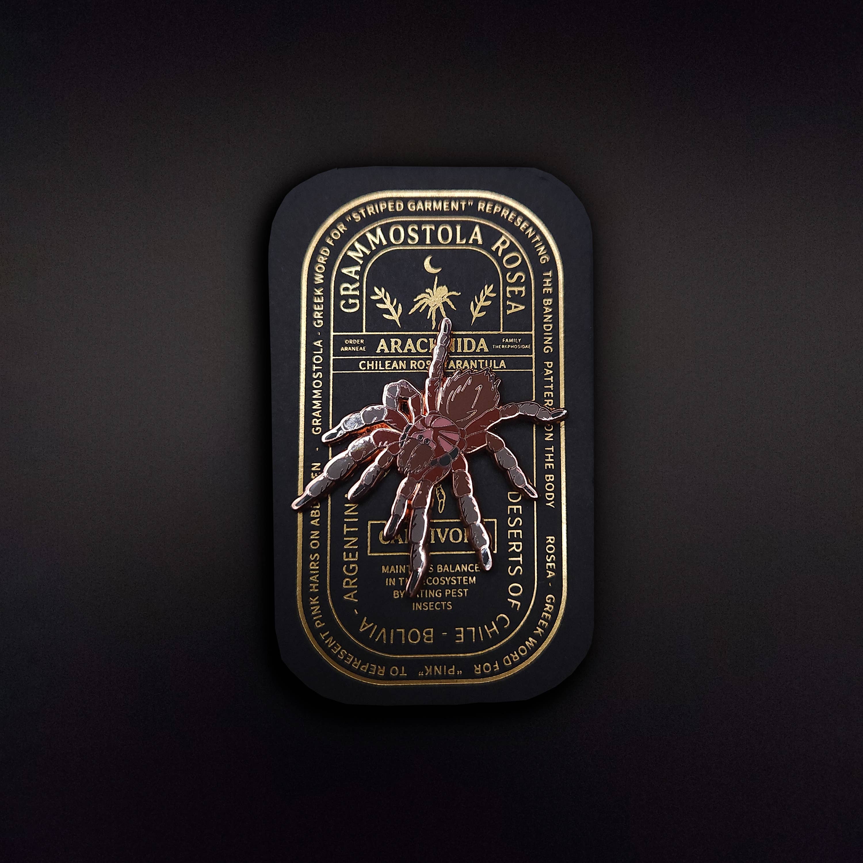 Pinsects - Wholesale Lapel Pin/Button - Chilean Rose Tarantula Educational Insect Enamel Pin3