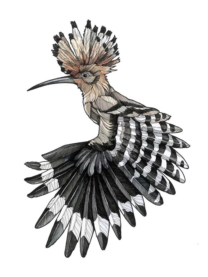 T-shirt | Hærfugle Af Irene Meniconi for engroshandel hos Respira