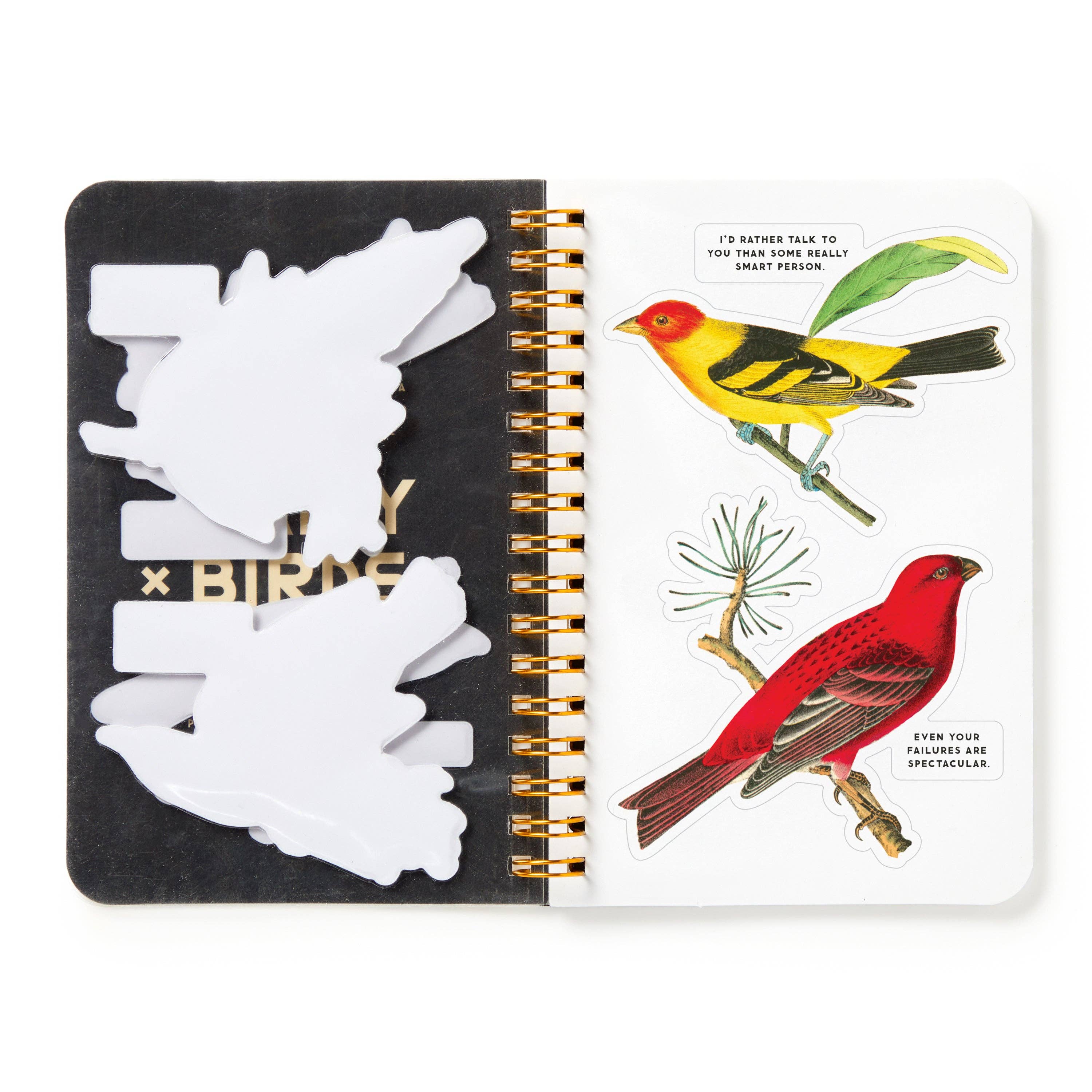 Abrams & Chronicle Books – wholesale Sticker – Salty Birds Sticker Book (Sticker Book or Pack)5