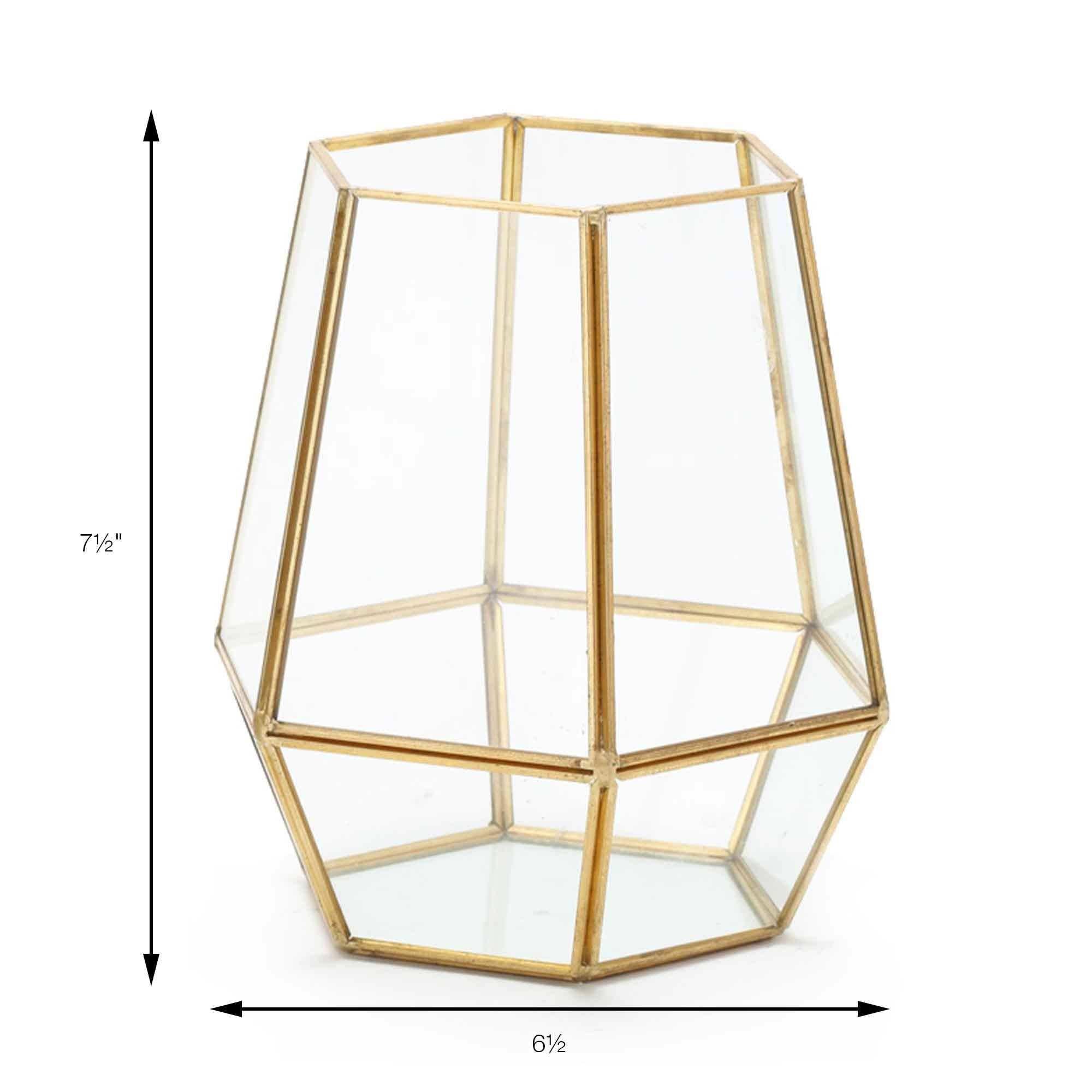 Portofino International Trading, USA - Wholesale Terrarium - Tall Hexagon Terrarium - 7.5" x 6.5"2