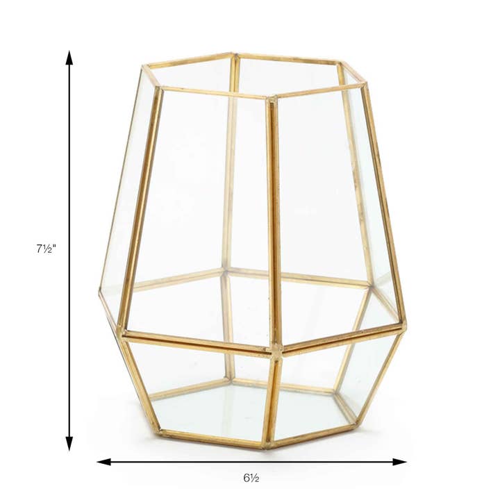 Portofino International Trading, USA - Wholesale Terrarium - Tall Hexagon Terrarium - 7.5" x 6.5"2
