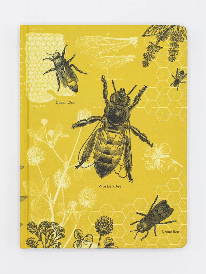 Honey Bee Hardcover - Blank (Case of 6) for wholesale by Cognitive Surplus