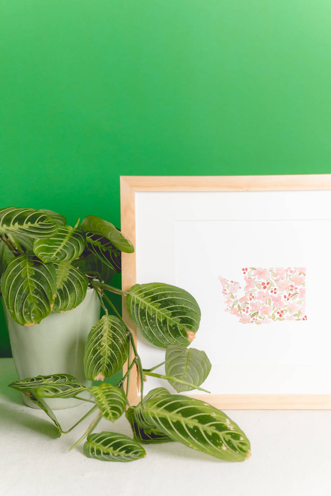 Good Sheila - Wholesale Art Print - Washington Apple Blossoms Watercolor Art Print4