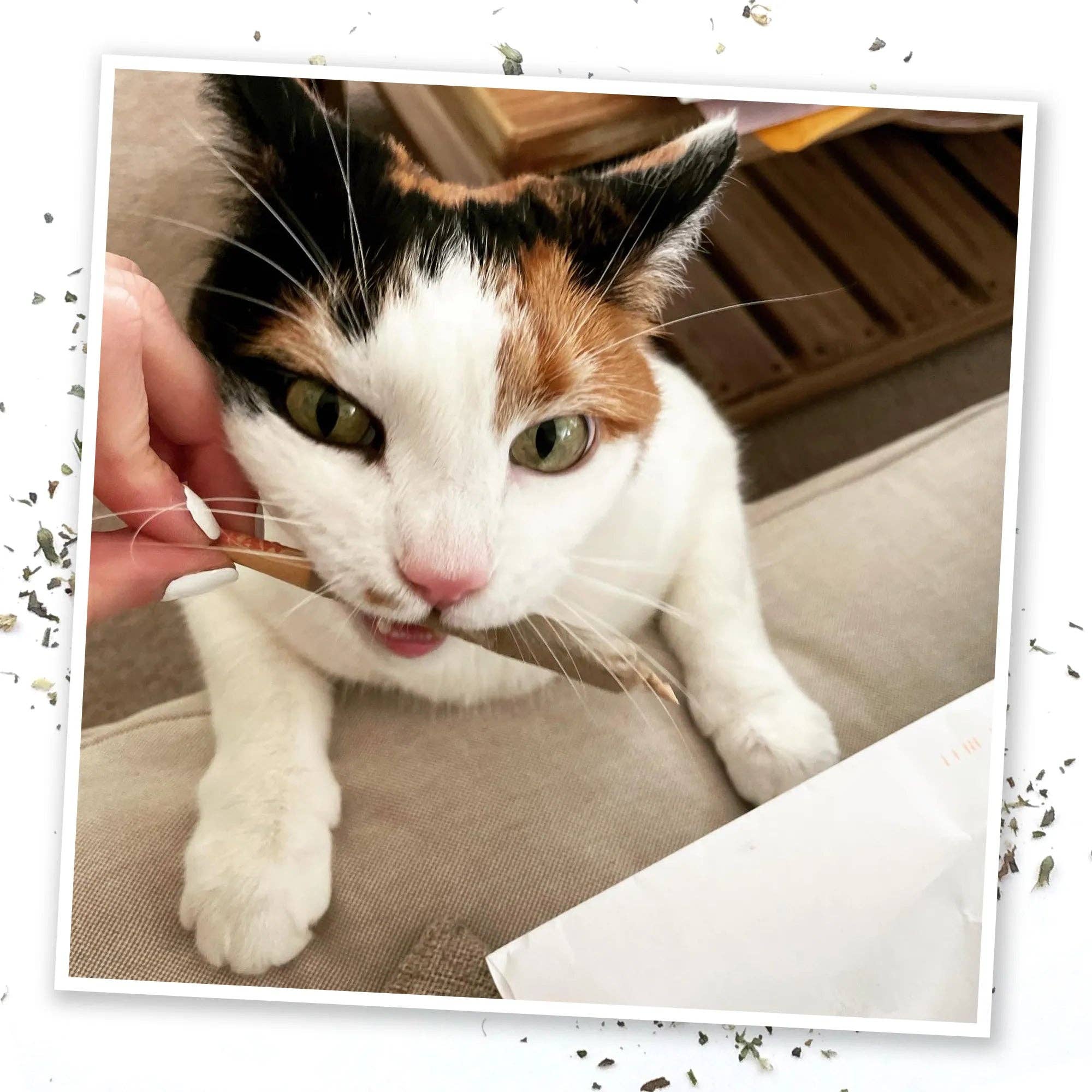 SmarterPaw | Meowijuana & Doggijuana - Wholesale Catnip - Meowijuana® Catnibas® King Size Rollies3