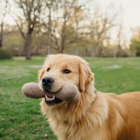 Vinny's Munch & Play – Großhandel Haustierspielzeug – Katze & Hund – Wollknochen Hundespielzeug2