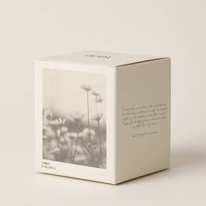 CICADA – Engroshandel Glaslys – Nr. 08 Medium Lys - duften af ørkenenge3