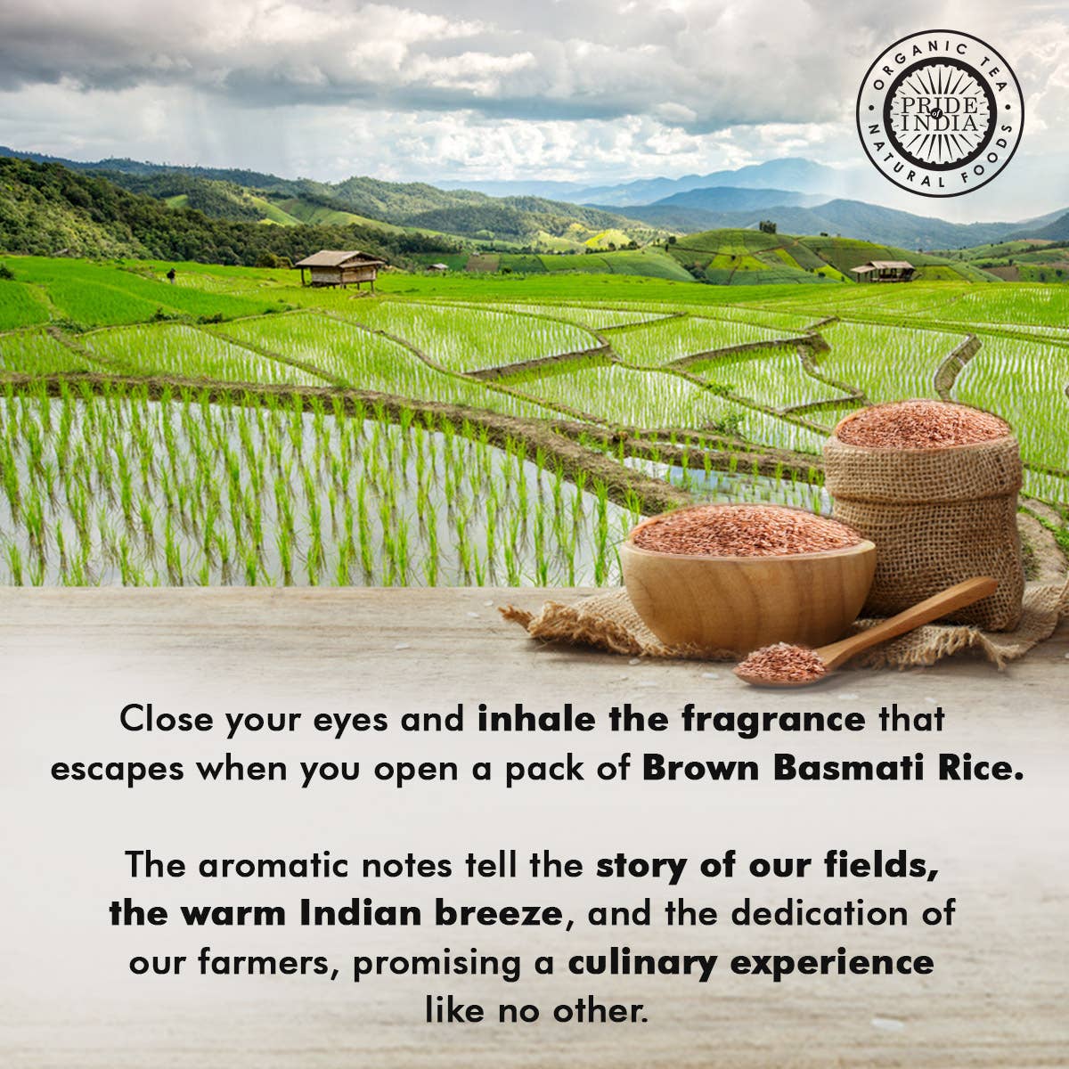 PRIDE INDIA BRANDS - Wholesale Rice - Extra Long Indian Brown Basmati Rice10