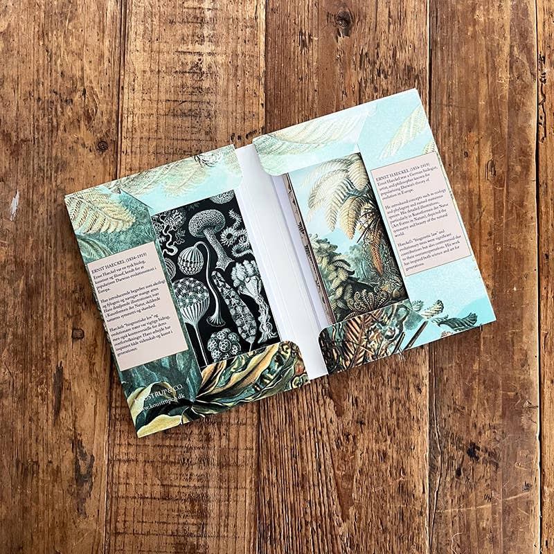 Koustrupco - Wholesale Stationery/Notecard Set - Ernst Haeckel cardfolder w/ 8 cards and envelopes3