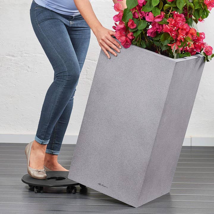 Lechuza Self Watering Planters - Vente Jardinière - LECHUZA CANTO Stone haut - grand pot de sol en résine poly haute qualité17