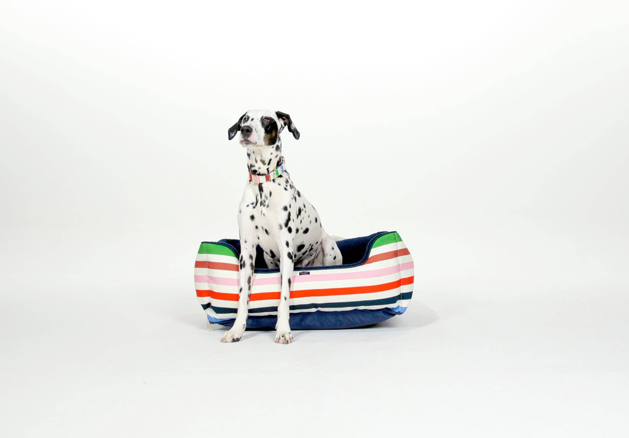 Kate Spade New York by Lifeguard Press - Wholesale Pet Bed - Cat/Dog - Pet Bed, Adventure Stripe2
