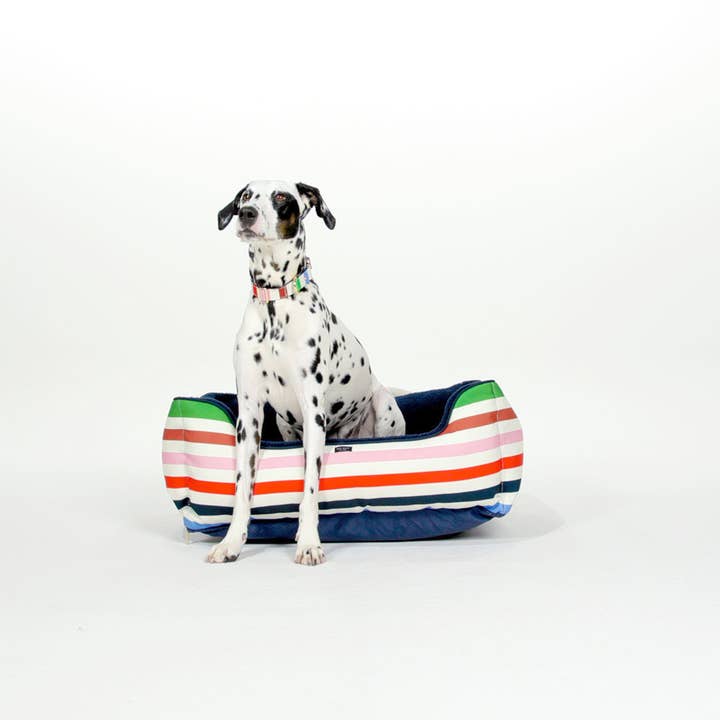 Kate Spade New York by Lifeguard Press - Wholesale Pet Bed - Cat/Dog - Pet Bed, Adventure Stripe2