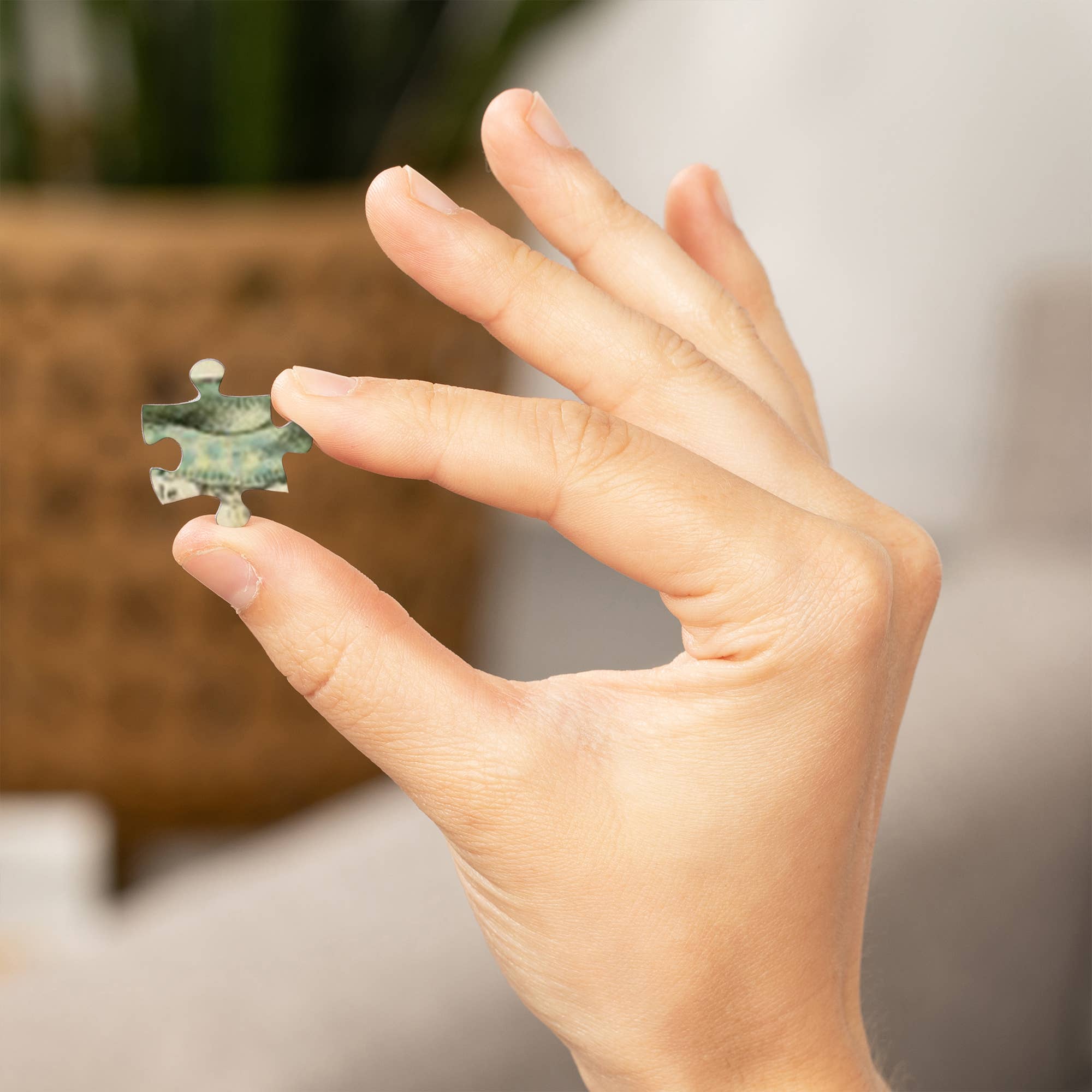 Lantern Press - Vendita all'ingrosso Puzzle - Adulti - Puzzle da 1000 pezzi, C, libris vintage, Adolph5