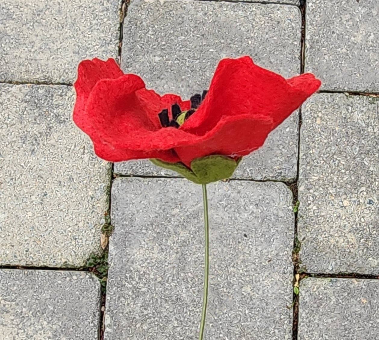 Madymae Felt Florals - Wholesale Artificial Flowers - Felt Poppy2