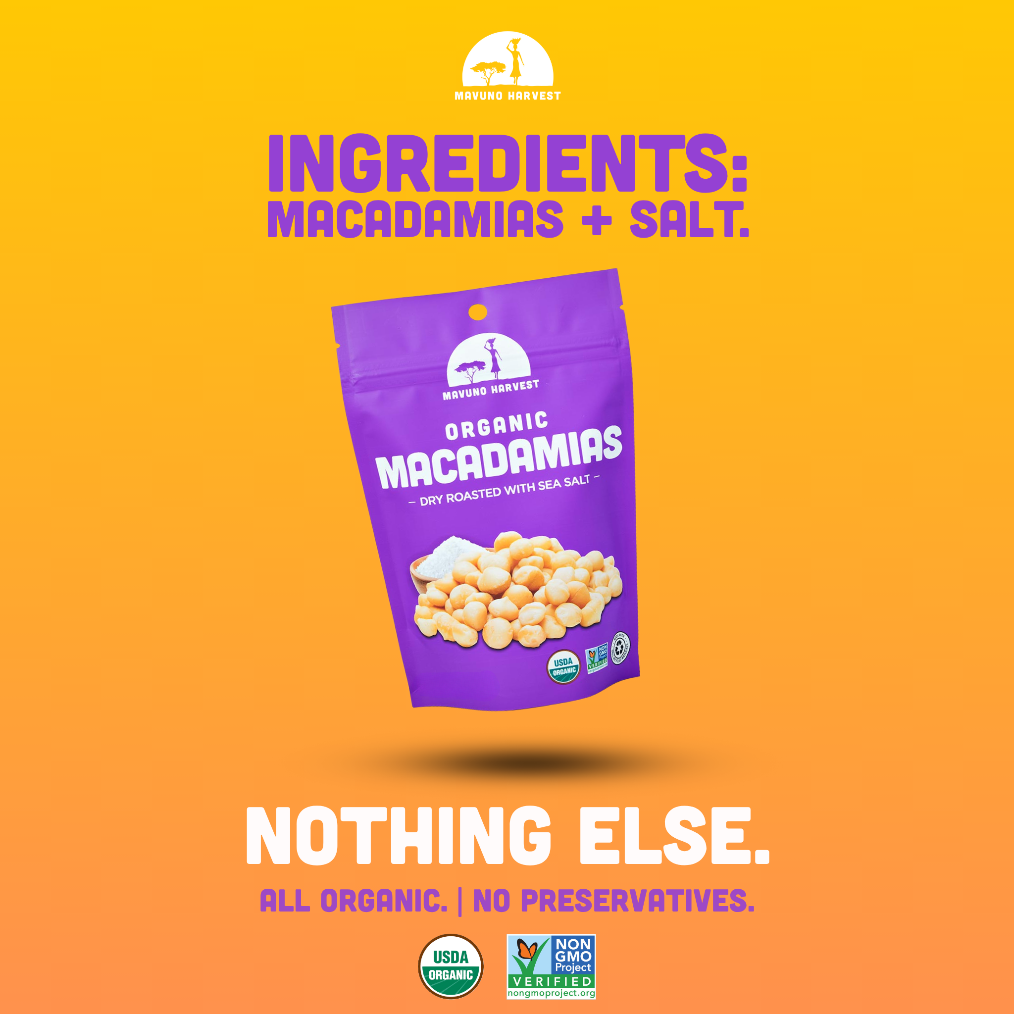 Mavuno Harvest Organics - Vente Noix - Noix de macadamia biologiques grillées à sec avec sel de mer, boîte de 6.3