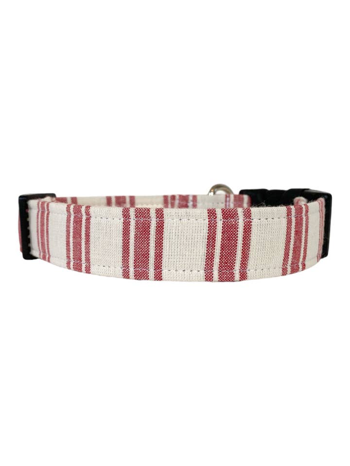 Buddy Hundehalsbånd for engroshandel hos Collars by Design
