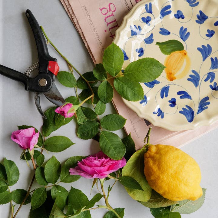 IVO ANGEL - Wholesale Dinner Plate - The Lemon Plate1