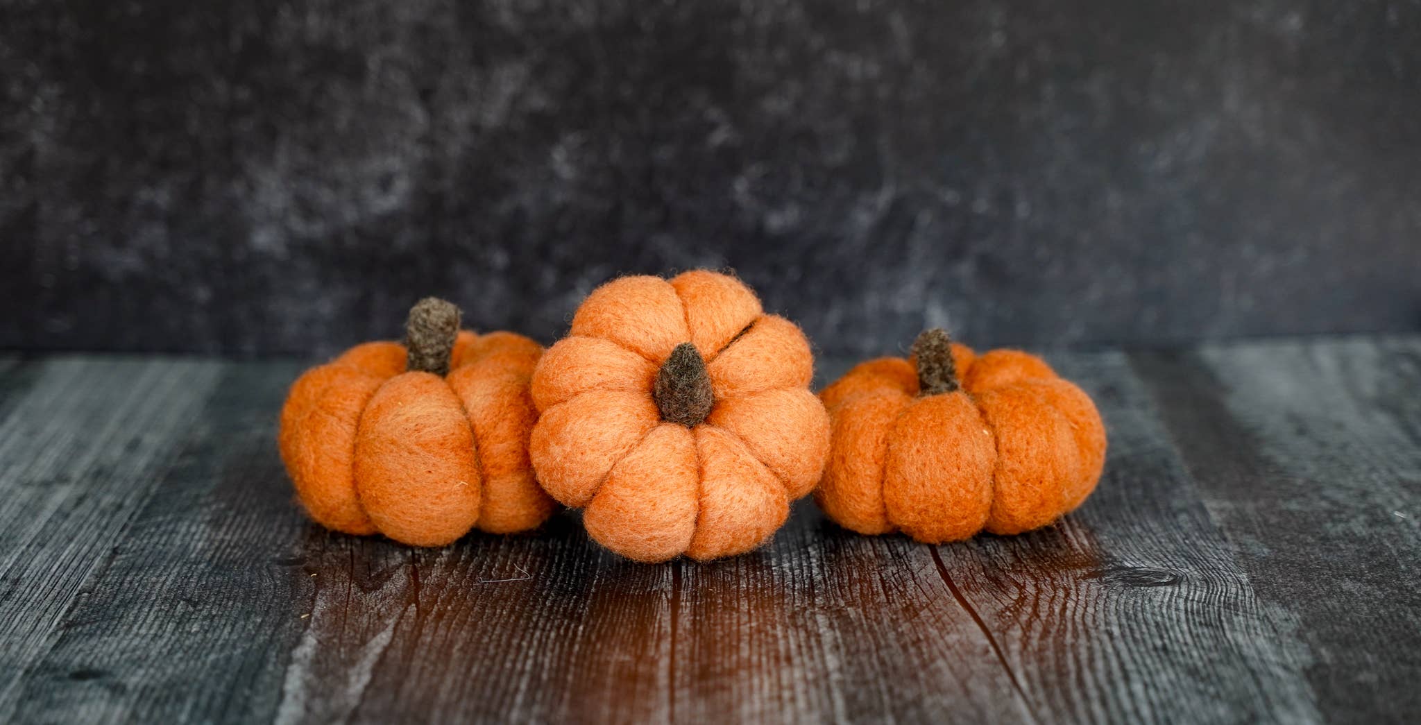 Bear Creek Felting - Vente Kit de bricolage - Kit débutant de feutrage à l'aiguille citrouille8