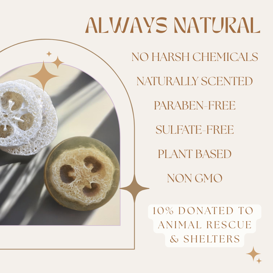 Von Wieting Co. - Wholesale Hand Soap/Wash - Tea Tree + Tangerine Organic Loofah Soap4