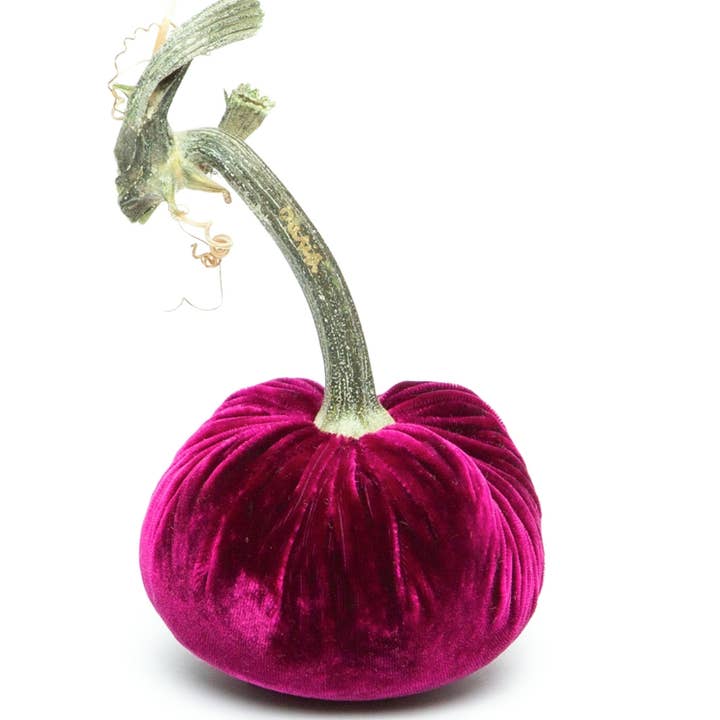 Citrouille en velours de soie magenta pour la vente par Hot Skwash