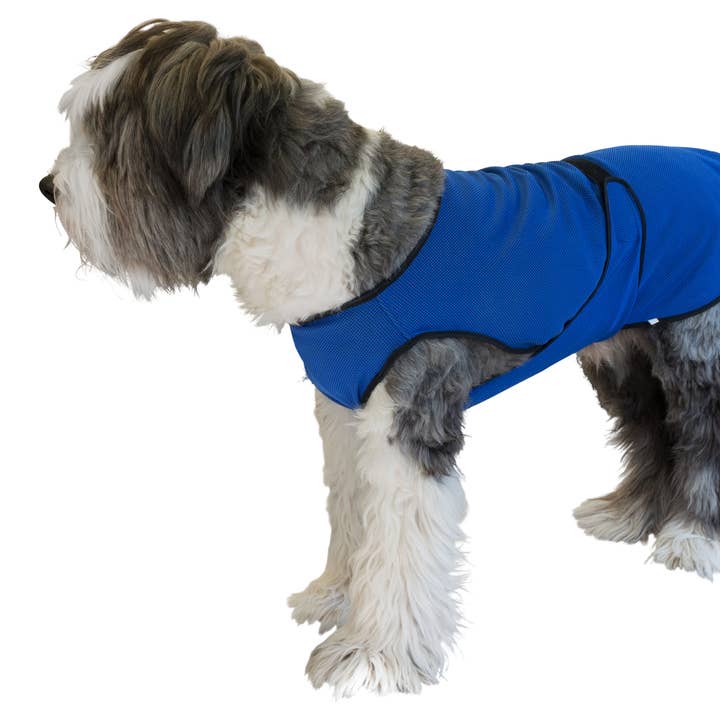 Cool Coat for dogs large for wholesale by Only An Ocean Europe