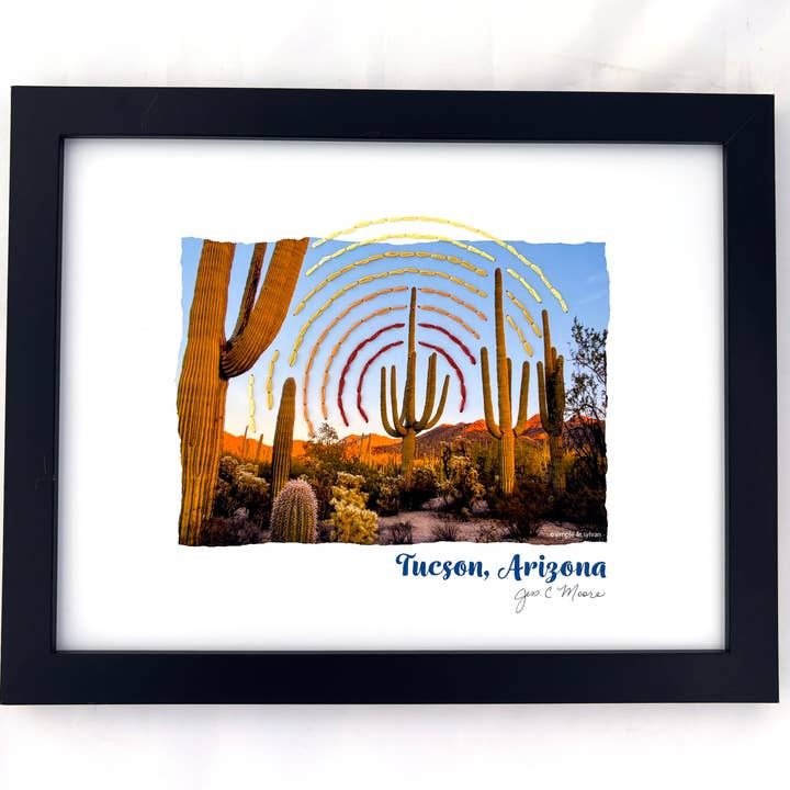 Tucson Cactus Sonoran Desert Photo Embroidery Kit for wholesale by Simple and Sylvan