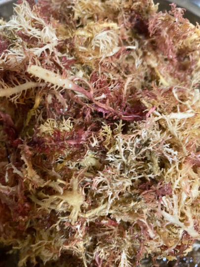 Nature's Lab - Natural Sisters - Wholesale Voedingssupplement/vitamine - Biologische Ierse Zeemos (zongedroogd) - 100% puur1