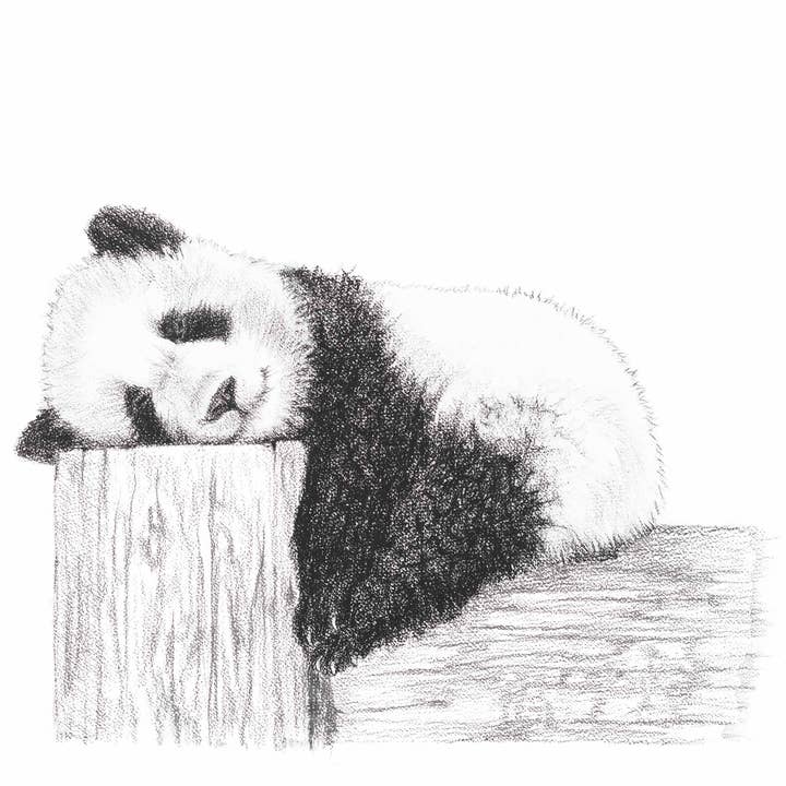 LE NID atelier - Wholesale Art Print - Cute sleeping Panda Print
