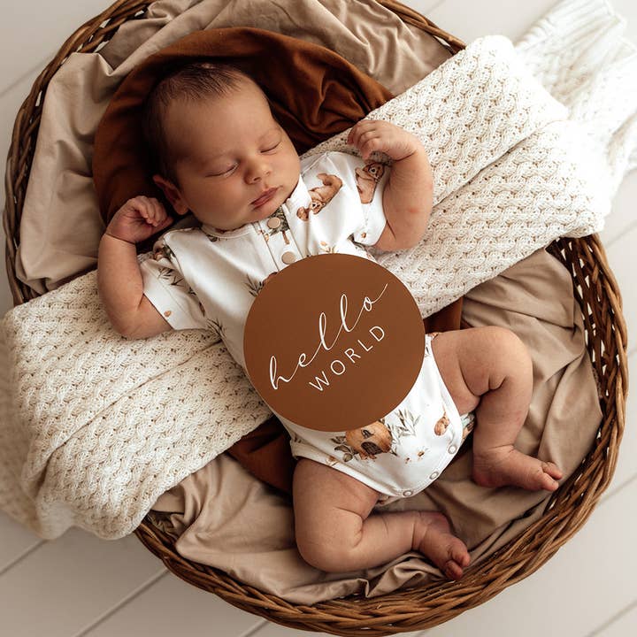 Snuggle Hunny - Wholesale Bodysuit (Non-Footed) - Baby - Bears Short Sleeve Organic Bodysuit3