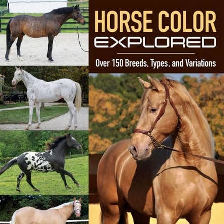 Couleur du cheval explorée : plus de 150 races, types et variations pour la vente par Bradley's Book Clearance