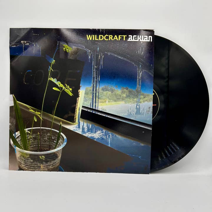 Footprints - Wholesale Music CD/Vinyl - Acklan - Wildcraft Lp