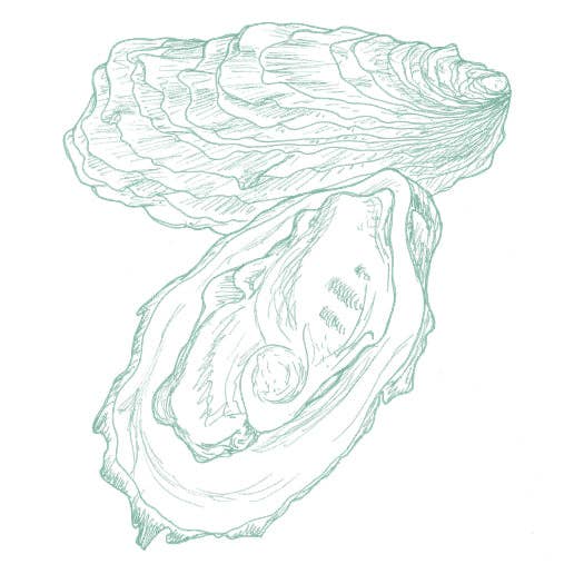 Oysters Aqua for wholesale by Bien Ecrit
