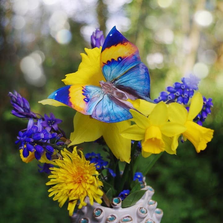 Moth and Myth - Wholesale Cutouts - 'Dawn' Butterfly Set4