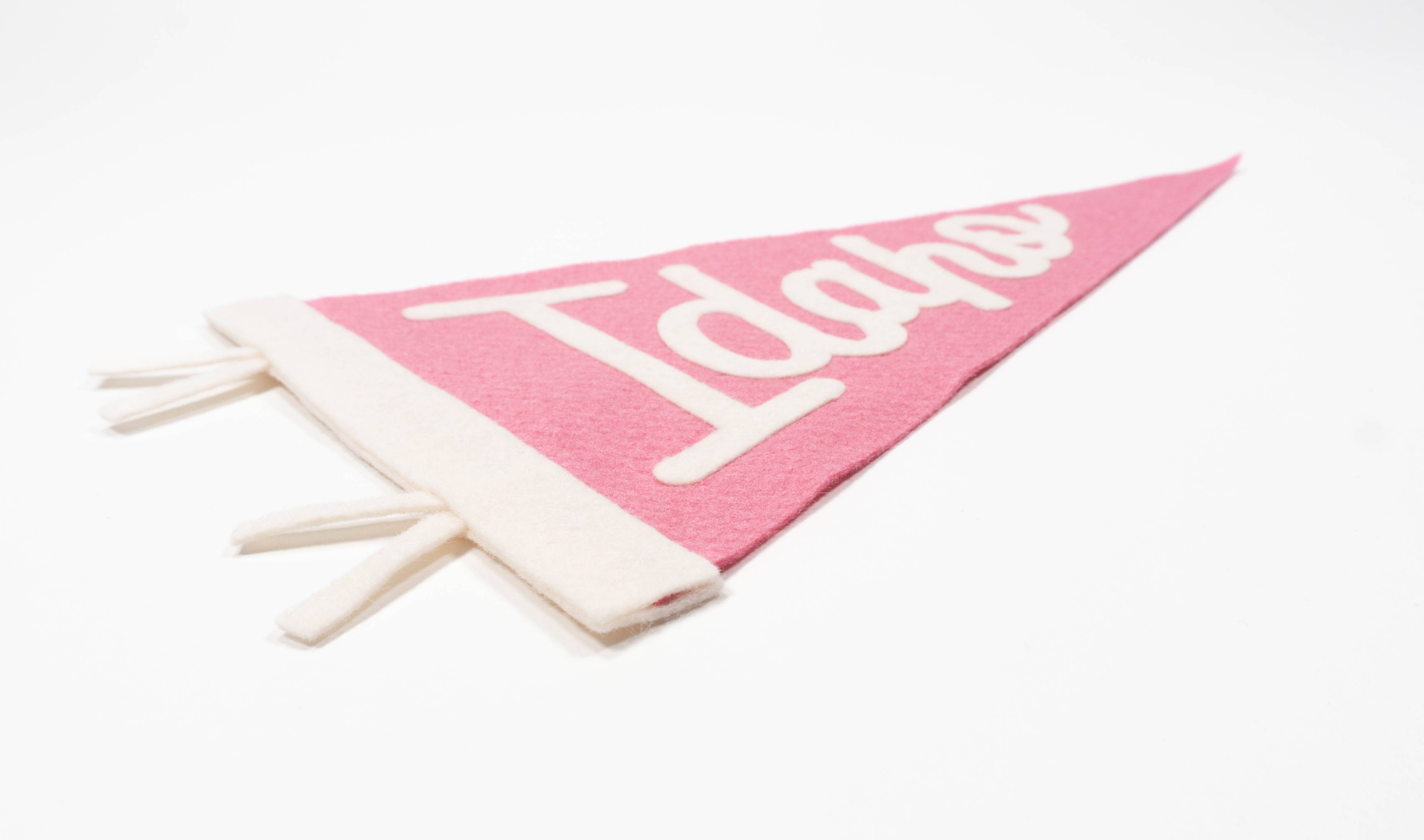 traveldashery - Wholesale Banner - idaho pennant6