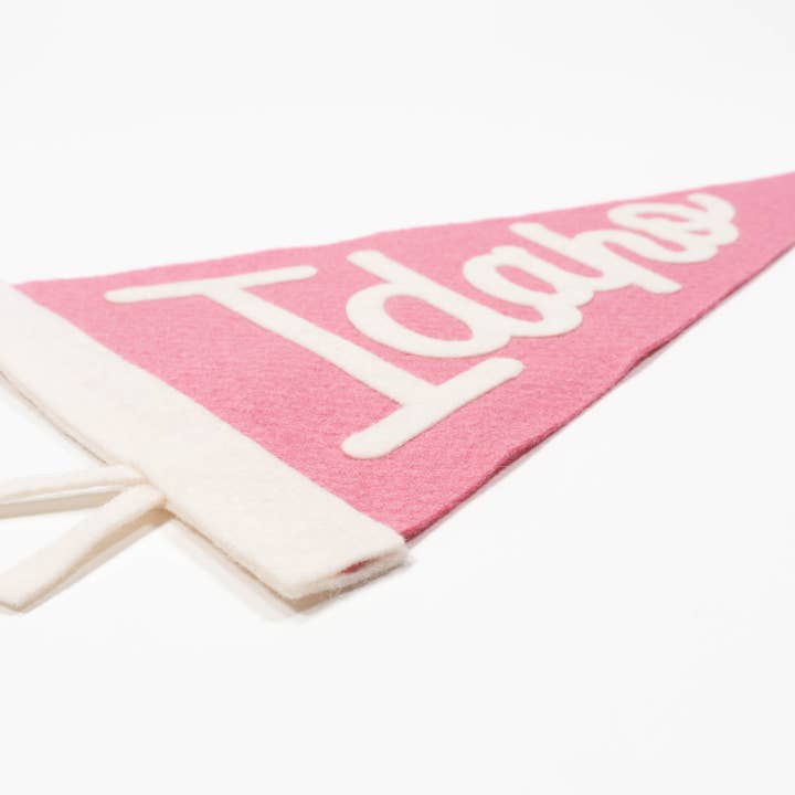traveldashery - Wholesale Banner - idaho pennant6