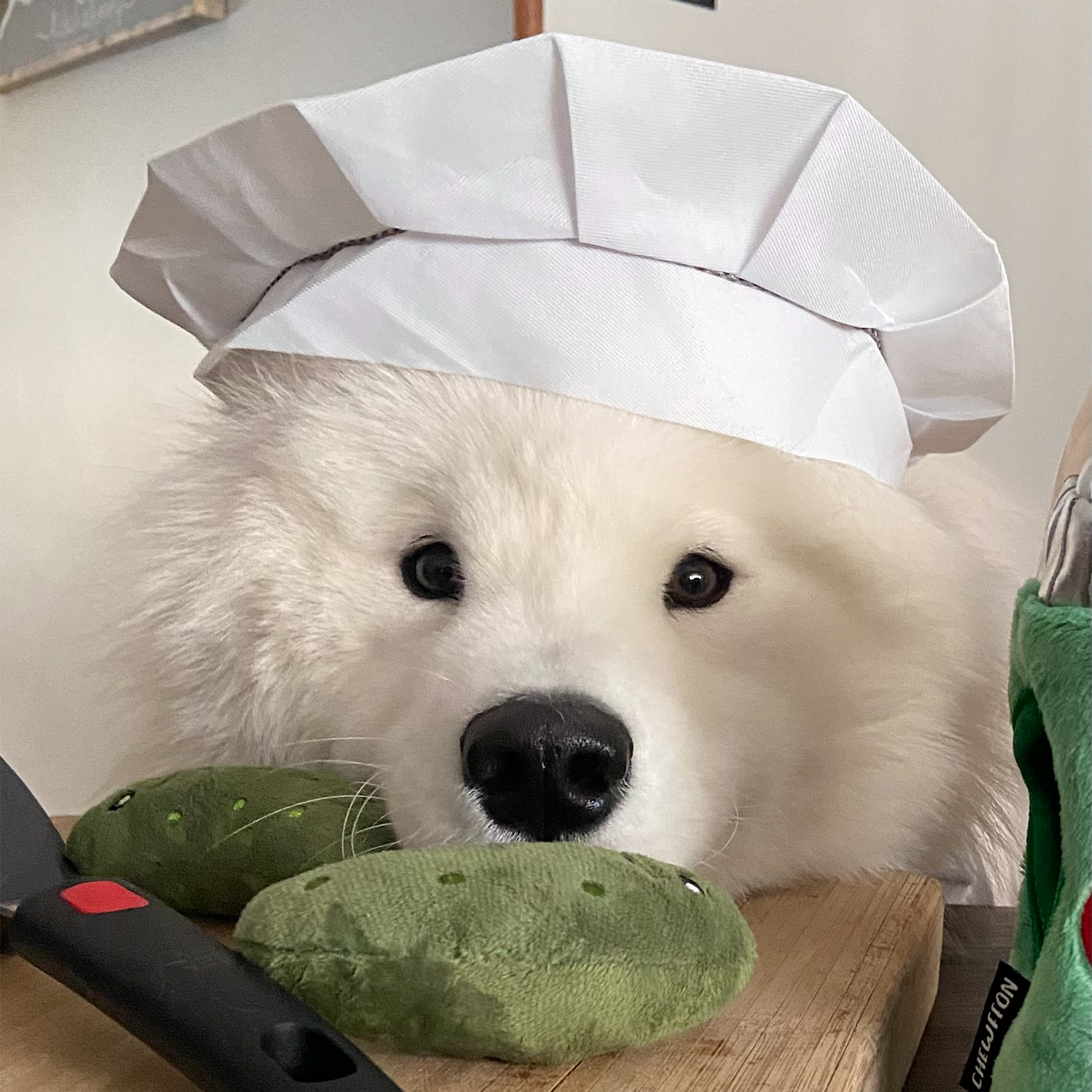 CHEWFFON - Wholesale Pet Plush Toy - Dog - CHEWFFON Pickle Jar Hide & Seek Dog Toy4