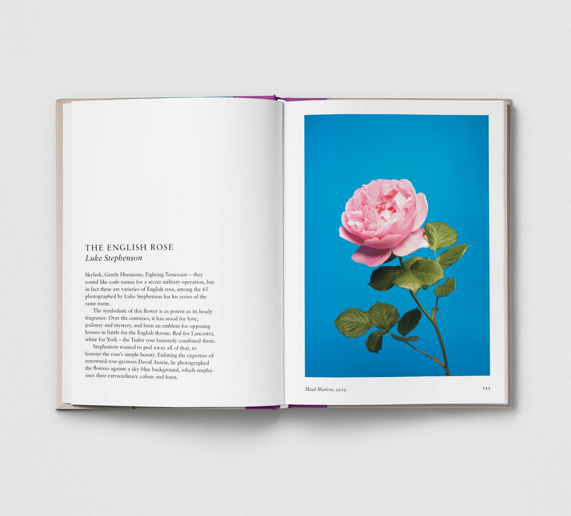 Hoxton Mini Press – wholesale Display book – Flower.8
