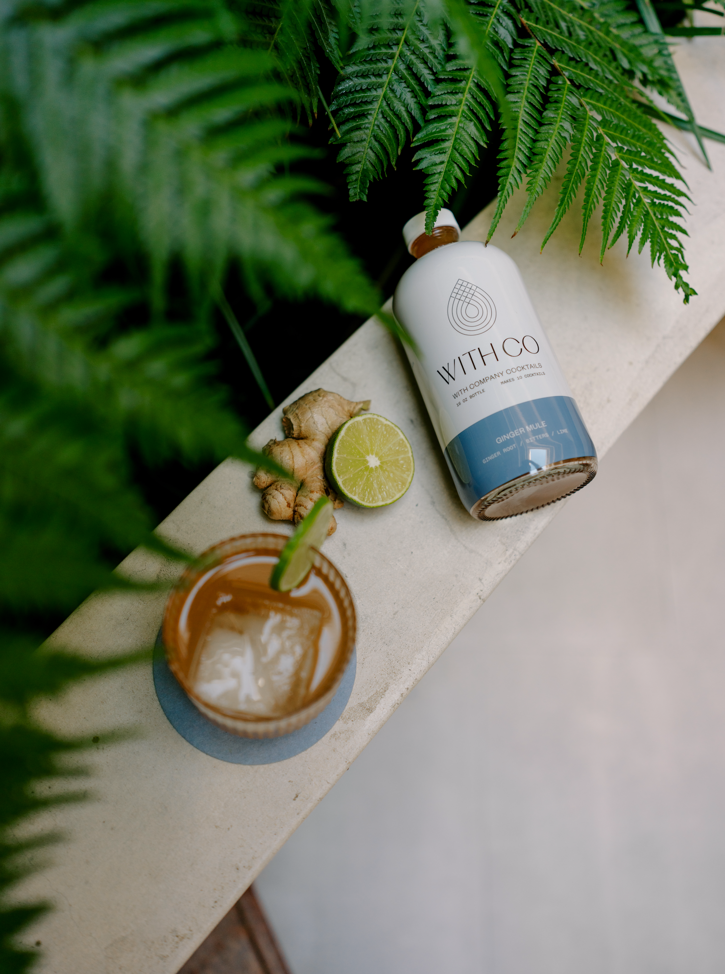 WithCo Cocktails - Vente Mélange/sirop pour cocktails - Mélange Mule au Gingembre (Racine de Gingembre, Bitters, Citron Vert)2