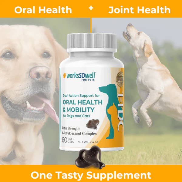 1-TDC Oral & Mobility Formula for wholesale by Helper Dog Boutique
