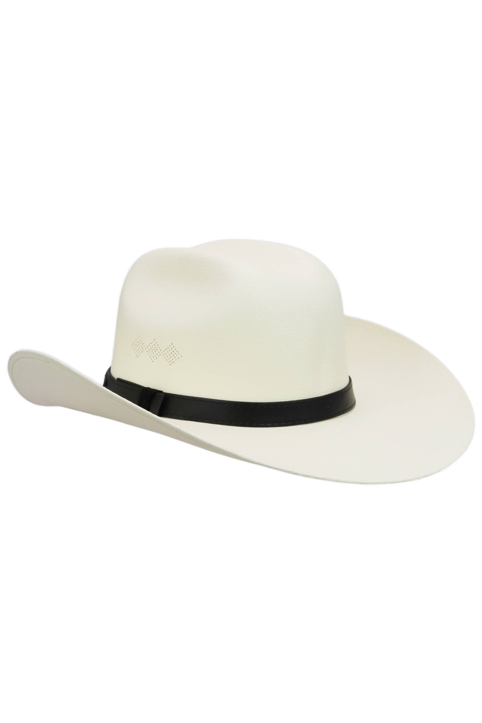 Cap Zone – wholesale Cowboy hat – Unisex – Closed Cutter Crown Elite Painted Cowboy Hat5