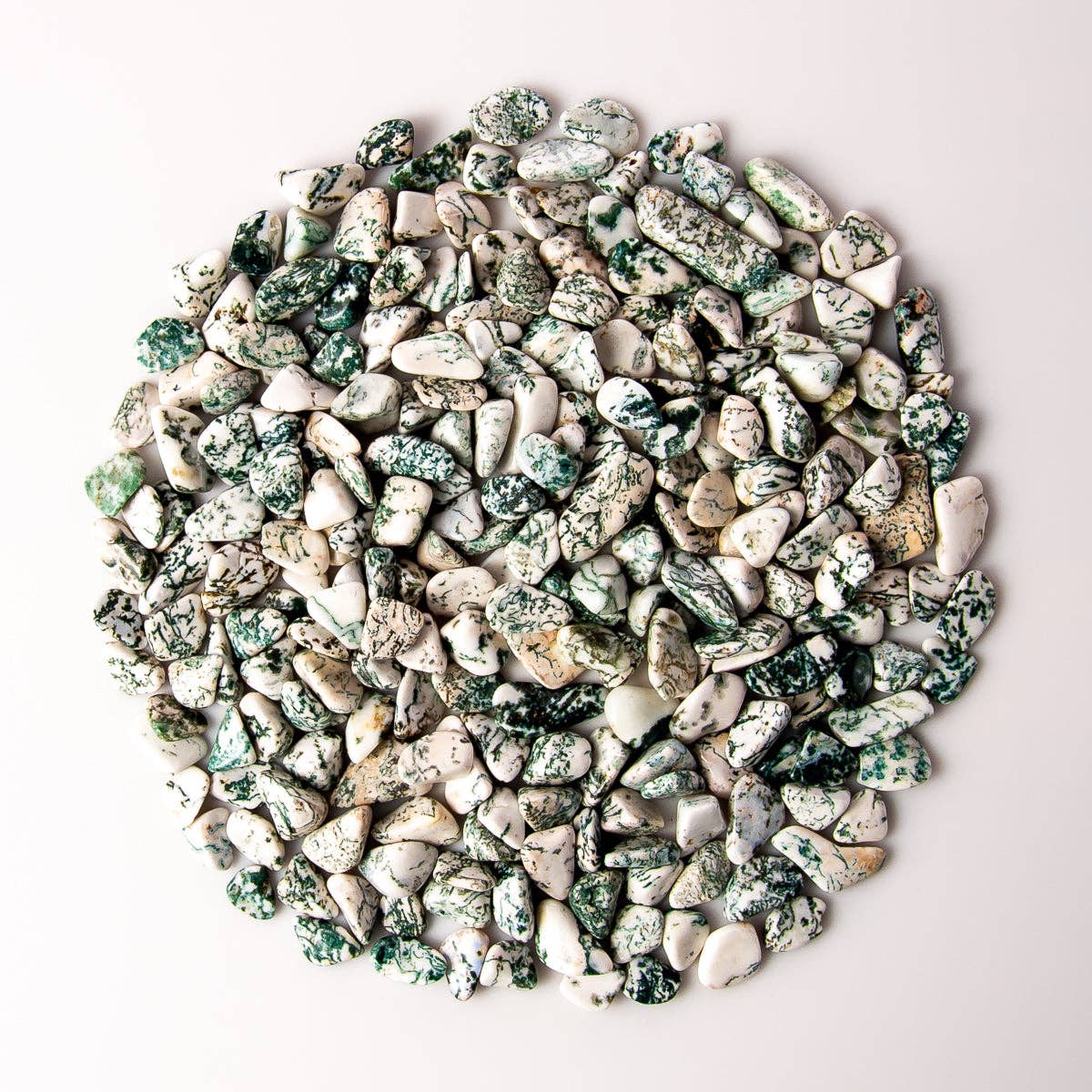 Tree of Life Gems - Wholesale Spiritual Stone/Crystal - Small Tumbled Tree Agate3