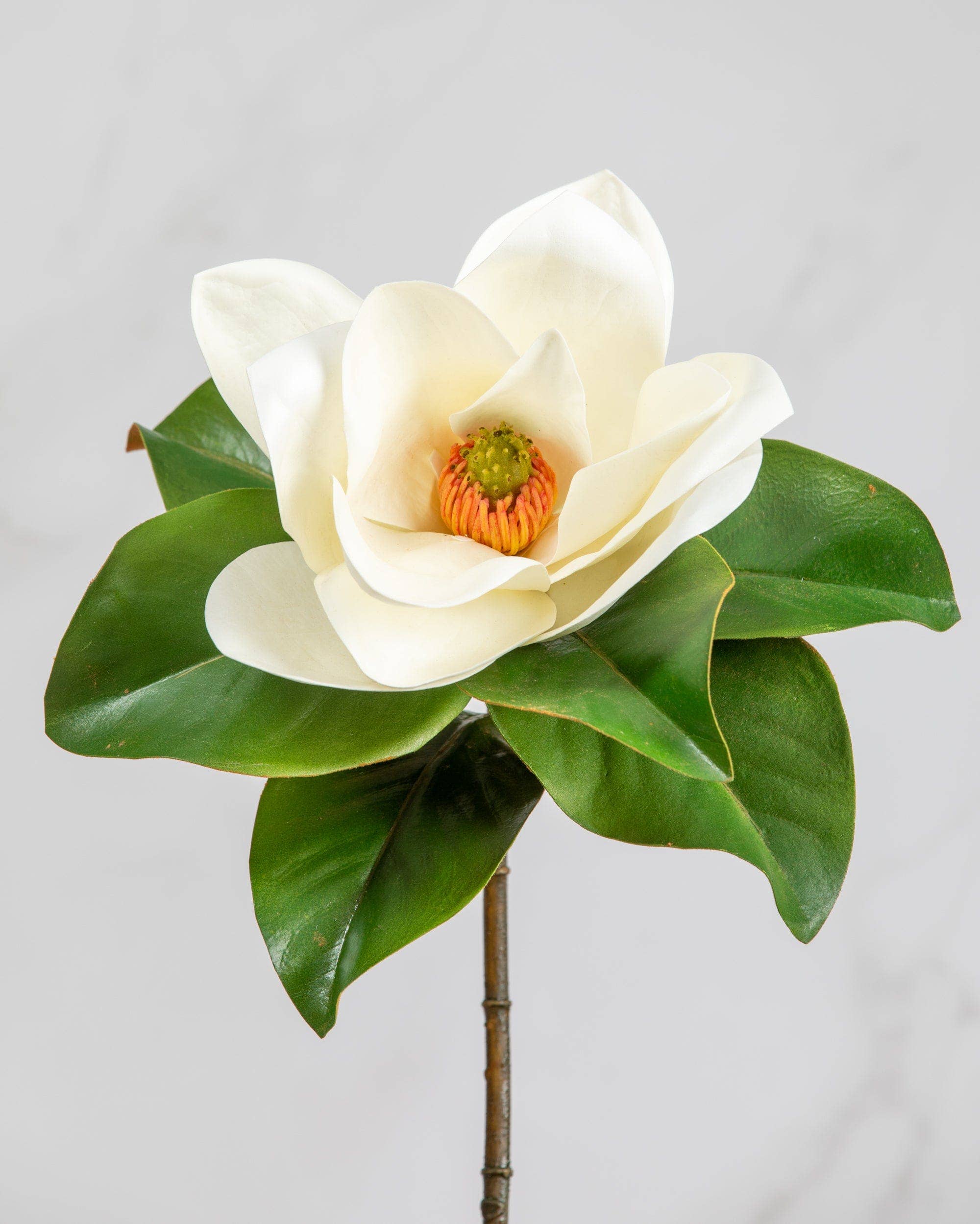 Wholesale White Magnolia 29" for your store Faire