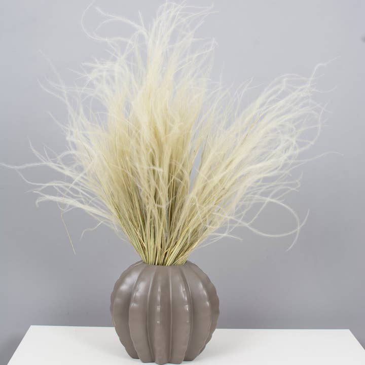 pampas studio uk - Wholesale Gedroogde/geperste bloemen - Gedroogd natuurlijk Stipa Penata-verengras2