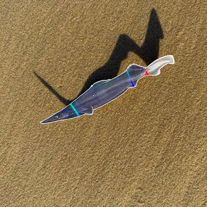 Stick Figure Fish - Wholesale Sticker - Arrowhead Dogfish Sticker4