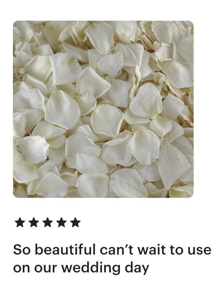 Flyboy Naturals Rose Petals - Wholesale Dried/pressed flowers - Bridal White/Ivory Freeze-Dried Rose Petals 30 Cups USA16