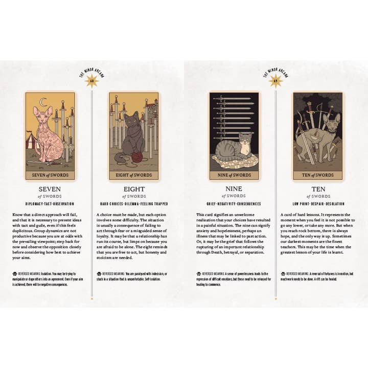 Abrams - Wholesale Tarot Cards - Cats Rule the Earth Tarot3