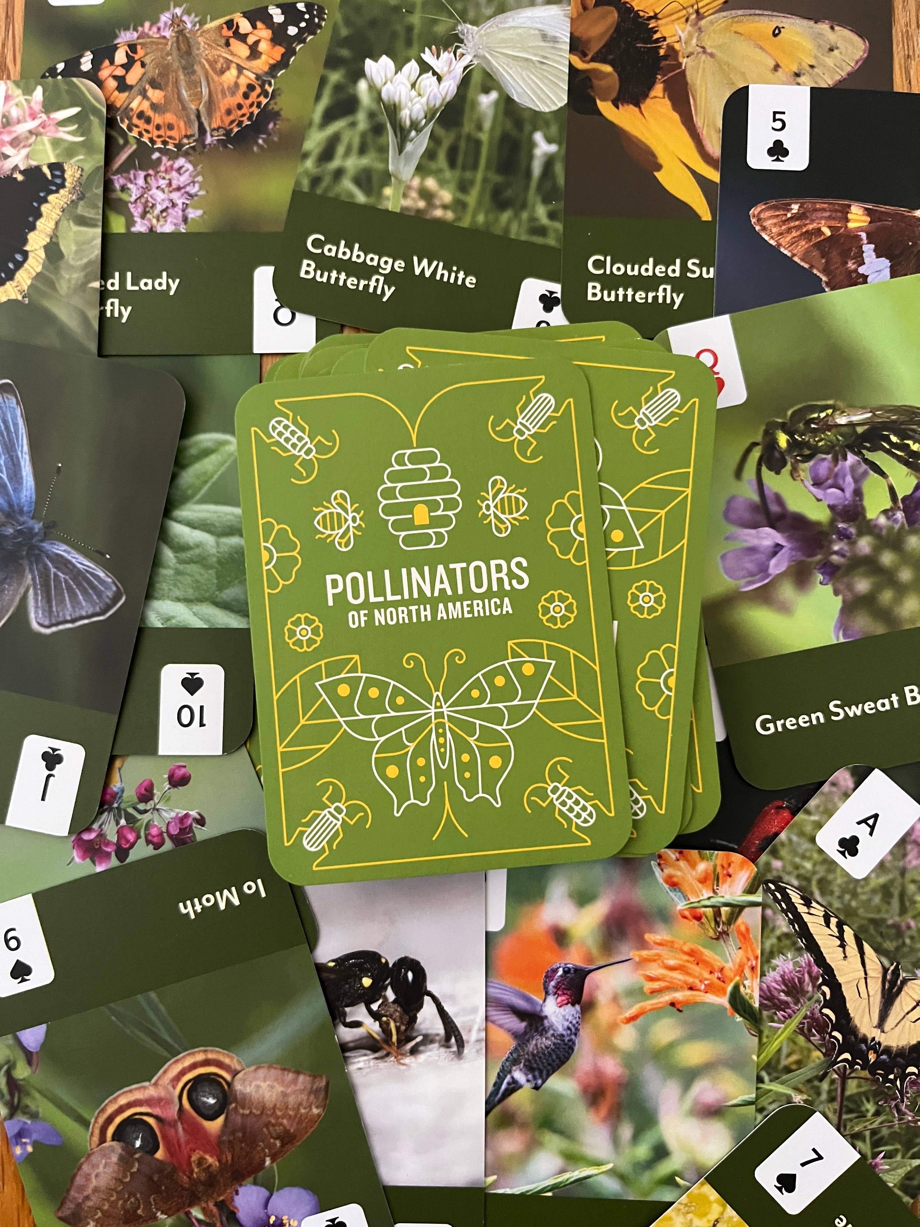 Mountaineers Books - Wholesale Playing Cards - Pollinators of North America Card Deck3