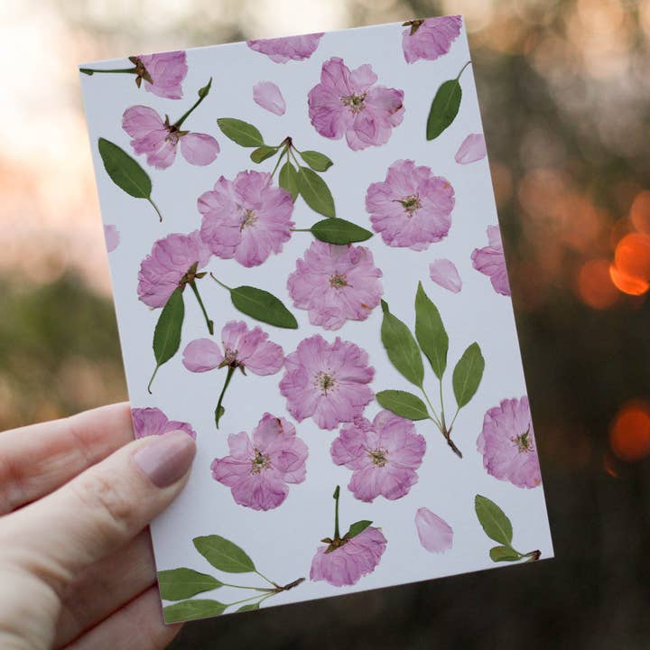 Cherry Blossom - Pressed flower collection card PRINT for wholesale by Eight Acorns Floral Preservation
